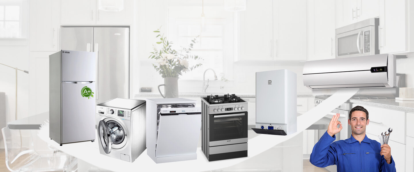 Çınar Electrolux Servisi